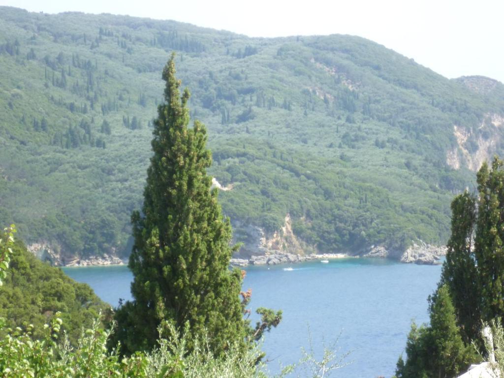 Noufaro Apartment Paleokastritsa Cameră foto